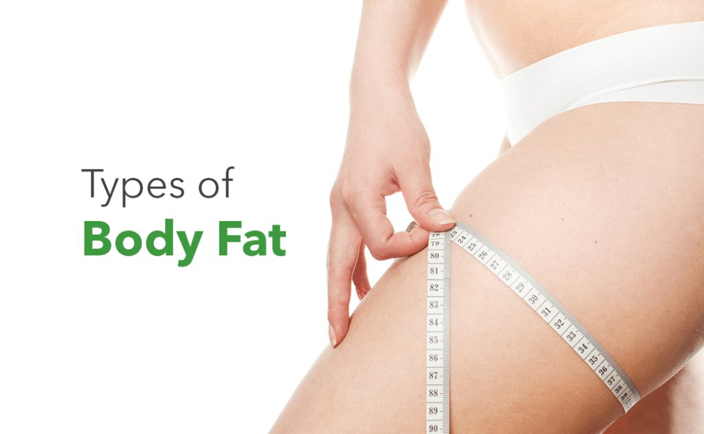 Types of Body Fat - Synergy Wellness