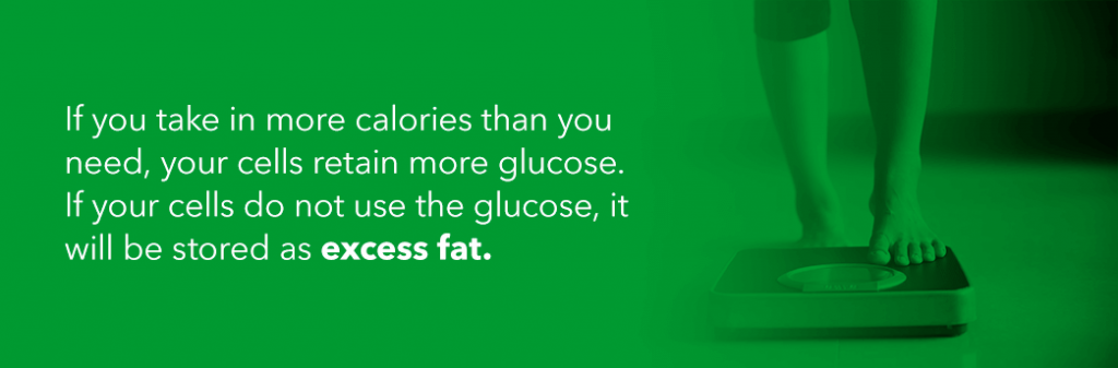If you take in more calories than you need, your cells retain more glucose. If your cells do not use the glucose, it will be stored as excess fat.